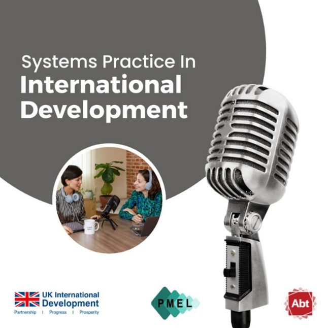 systems practice in international development