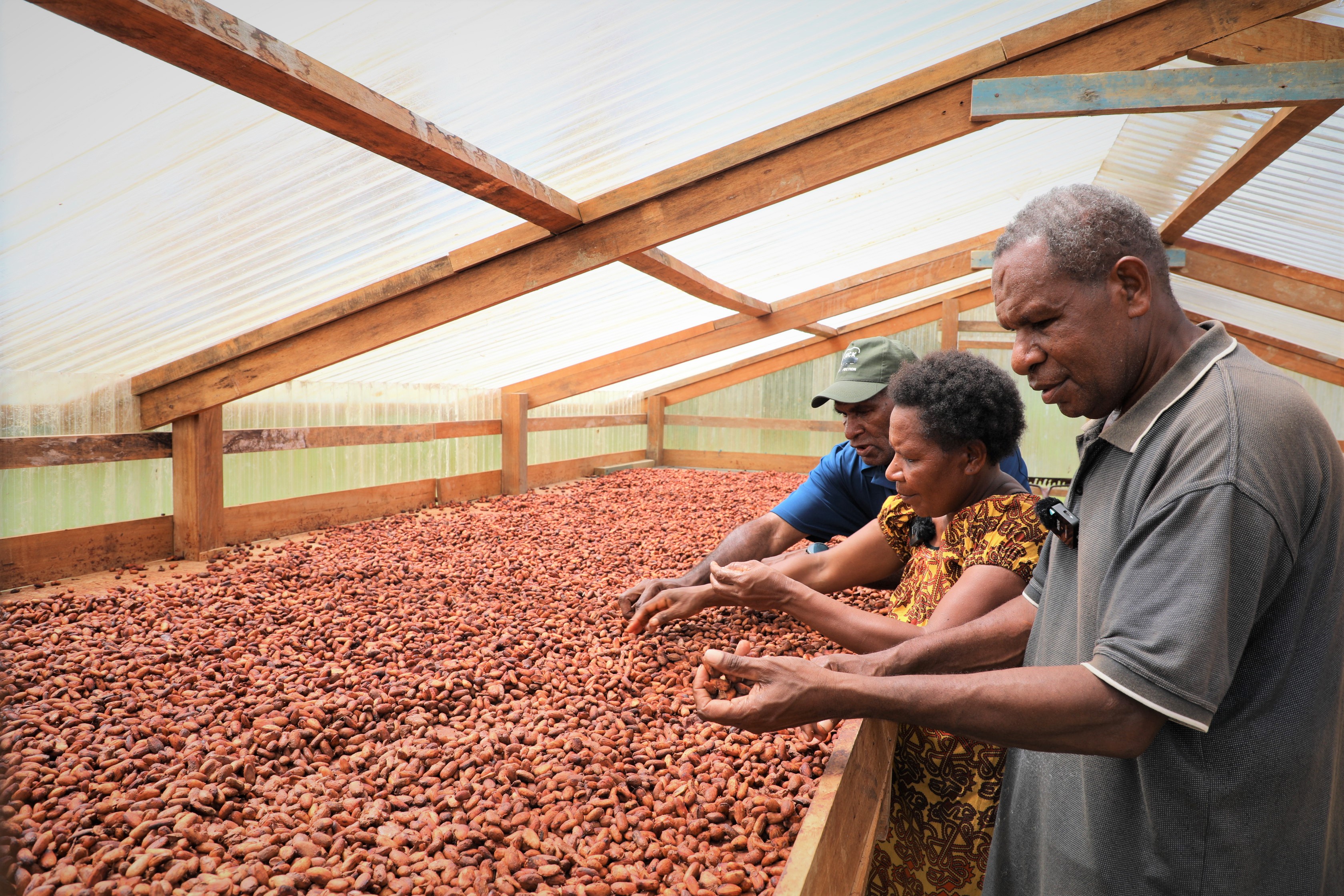 Smoke-Free Cocoa Opens Premium Export Opportunities for PNG