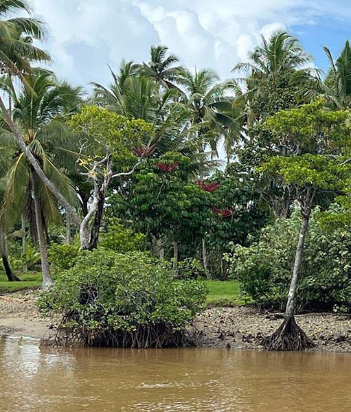 River front landscape in Fiji