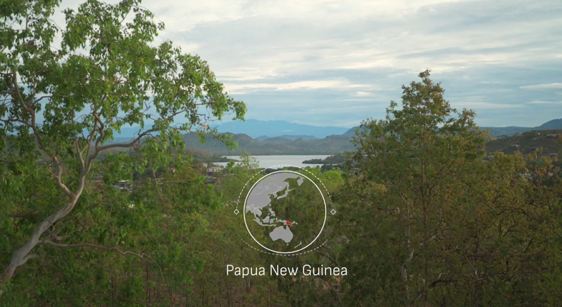 forest view in papua new guinea