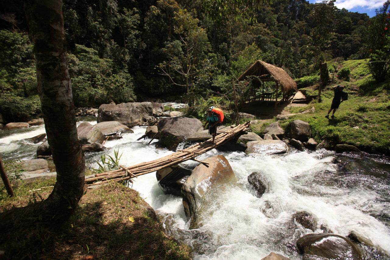 Iora creek small footbridge