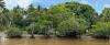 Fiji riverfront