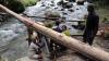 KTA rangers and community members constructing a bridge in papua new guinea